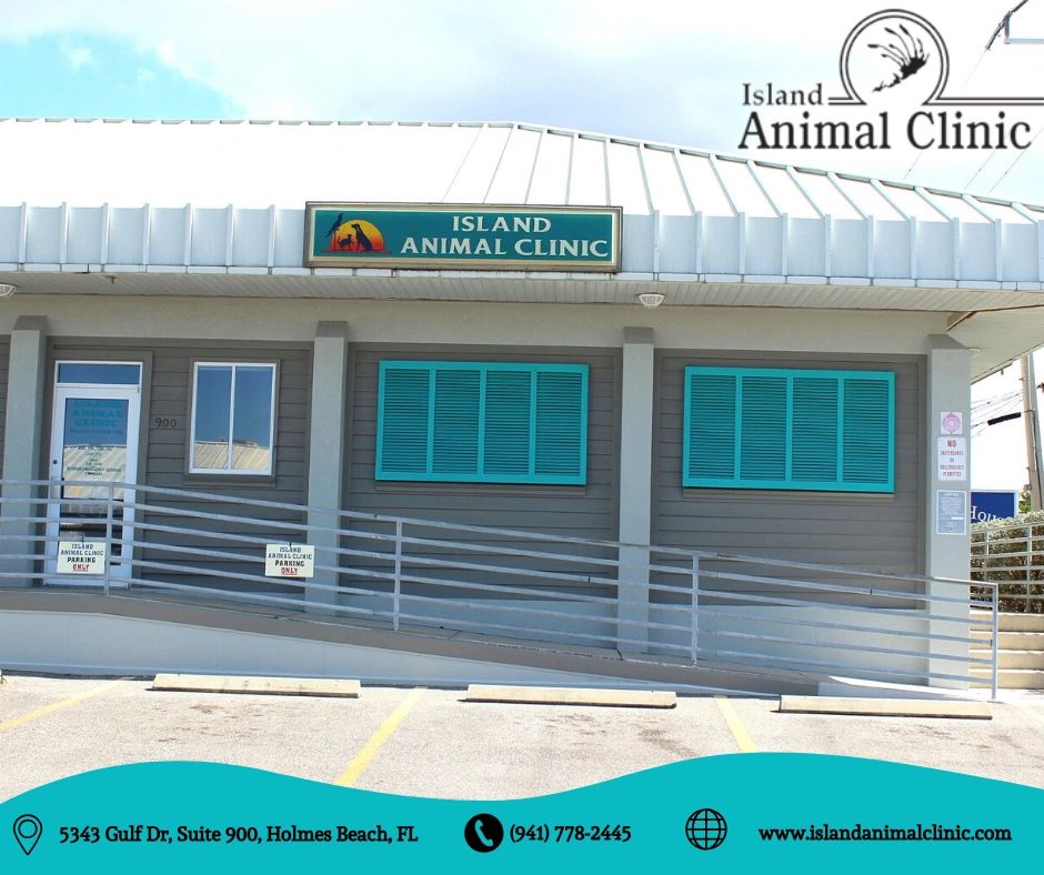 Take a Tour Island Animal Clinic